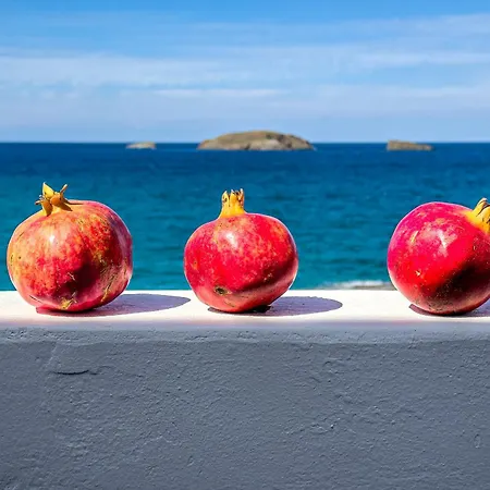 Pensionat Namastemilos